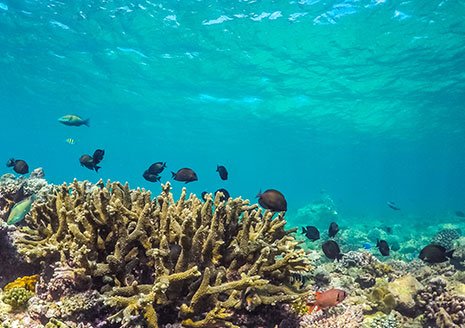 03_content_block_desktop_AS_1